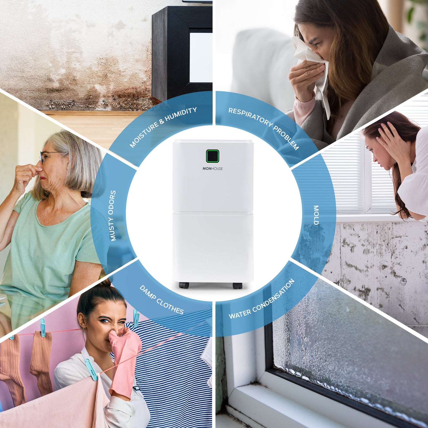 12L Dehumidifier 24hr Timer Damp, Mould, Condensation, Mildew, Moisture Remover