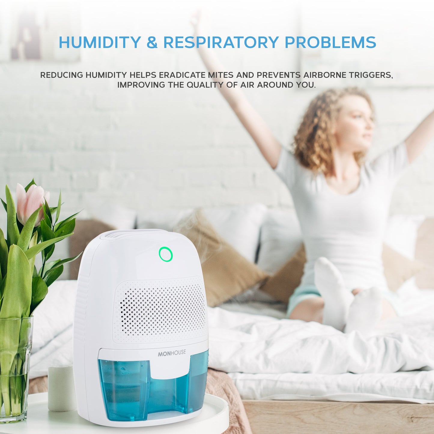 MONHOUSE Dehumidifier, 600 ml, portable, compact and quiet moisture  absorber, mini dehumidifier for home, bedroom, moisture, car, electric  mould